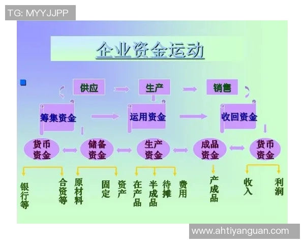 会计视角下企业财务管理的优化路径与实践策略分析